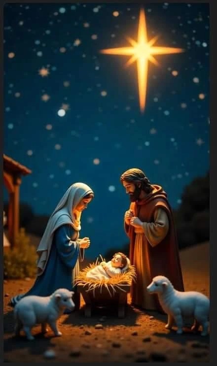 Fundas Navideñas Para Puertas